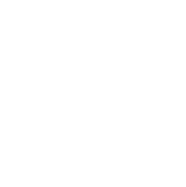 Dreamers — szkoła podstawowa